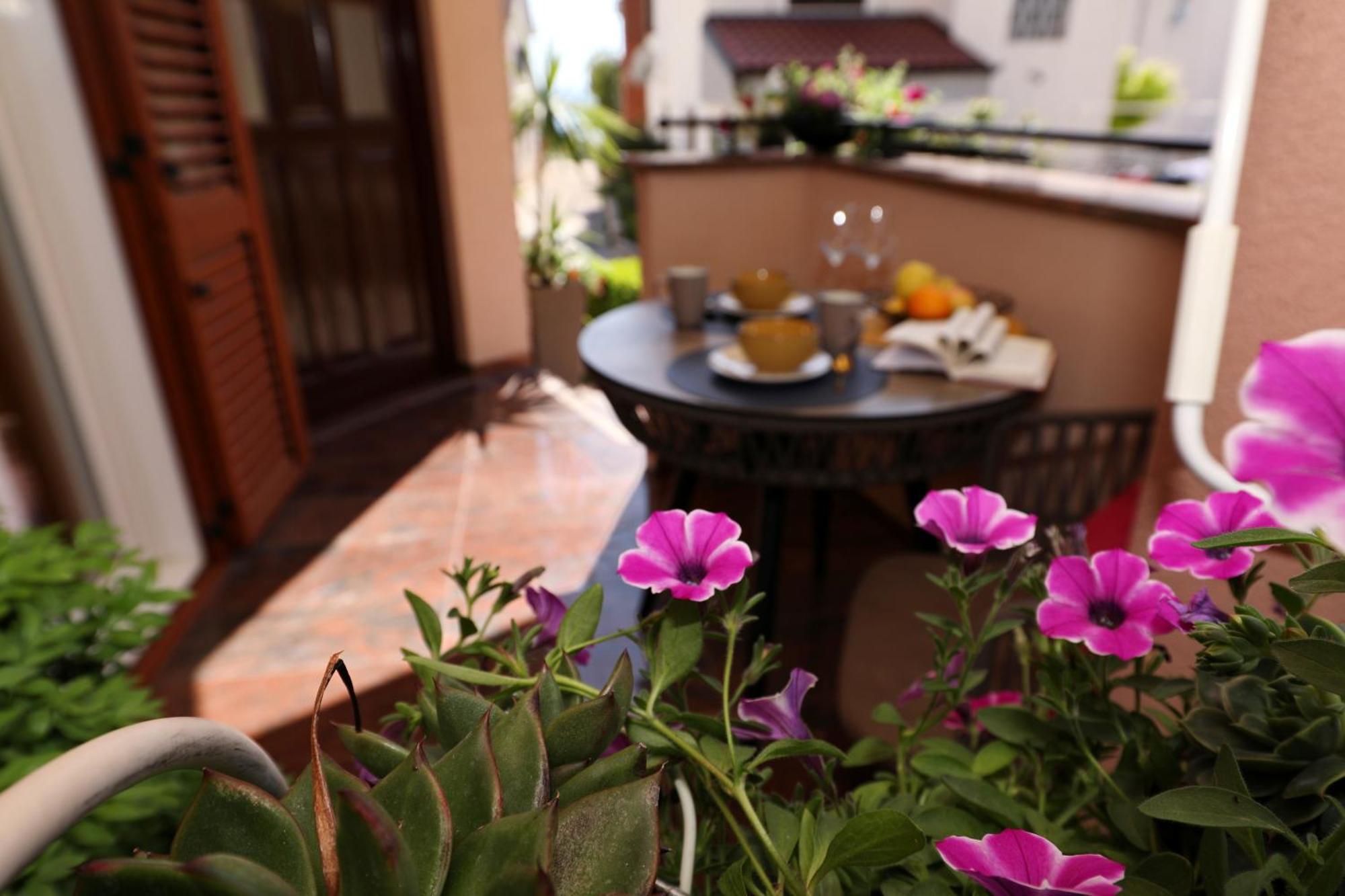 Villa Dalmatino باكوشتاني المظهر الخارجي الصورة